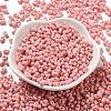 Baking Paint Glass Seed Beads SEED-K009-01A-17-2