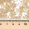 MIYUKI Delica Beads X-SEED-J020-DB2501-3