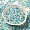 Baking Paint Glass Seed Beads SEED-P006-03A-17-2