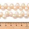Natural Cultured Freshwater Pearl Beads Strands PEAR-I007-04E-02B-5