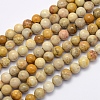 Natural Fossil Coral Beads Strands G-G697-F01-4mm-1