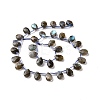 Natural Labradorite Beads Strands G-I246-09-A-2