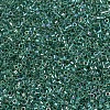 MIYUKI Delica Beads SEED-J020-DB0060-2