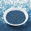 MIYUKI Round Rocailles Beads SEED-JP0008-RR0025-2