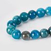Natural Apatite Beads Strands G-OC0002-60A-3