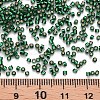 Glass Cylinder Beads SEED-S047-R-012-4