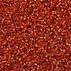 MIYUKI Delica Beads SEED-J020-DB2158-3