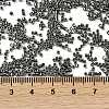 Electroplate Glass Seed Beads SEED-H003-10D-4