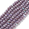 Opaque Glass Beads Strands EGLA-A035-P6mm-L11-1