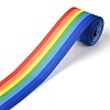 Rainbow Polyester Ribbon OCOR-G008-02-2