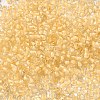 12/0 Transparent Glass Seed Beads X-SEED-F003-03C-14-3