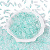 Picasso Transparent Glass Seed Beads SEED-N012-11I-2