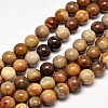 Natural Petrified Wood Round Bead Strands G-F266-08-10mm-1