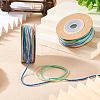 2 Rolls Segment Dyed Cotton Twisted String Cord OCOR-TA0002-95C-5