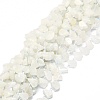 Raw Rough Natural Rainbow Moonstone Beads Strands G-E576-18-1