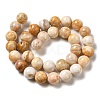 Natural Crazy Agate Beads Strands G-H298-A12-05-3