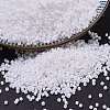 MIYUKI Delica Beads SEED-X0054-DB0200-1