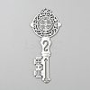 Tibetan Style Zinc Alloy Big Pendants FIND-WH0139-675AS-1