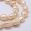 Natural Cultured Freshwater Pearl Beads Strands PEAR-K004-05A-01-3