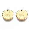 316 Surgical Stainless Steel Charms STAS-S116-418G-G-2