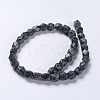 Natural Kambaba Jasper Beads Strands G-K267-08A-2
