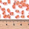 Glass Seed Beads SEED-A033-01B-01-2