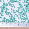 MIYUKI Delica Beads SEED-MY11-DB0166-4