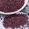 MIYUKI Delica Beads SEED-MY11-DB2308-1