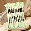 10 Skeins 6-Ply Polyester Embroidery Floss OCOR-CY0004-38I-5
