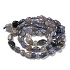 Natural Iolite Beads Strands G-P497-01A-13-3