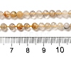 Natural Rutilated Quartz Beads Strands G-F619-10A-4