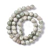 Natural Peace Jade Beads Strands G-G905-07-6MM-3