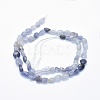 Natural Iolite Beads Strands G-G765-53-2