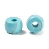 Dyed Synthetic Turquoise Beads G-C134-03C-02-2