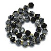Natural Snowflake Obsidian Beads Strands G-I376-A04-01-2