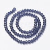 Glass Beads Strands EGLA-A034-T10mm-D12-2
