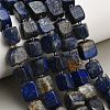 Natural Lapis Lazuli Beads Strands G-D108-B01-1