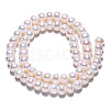 Natural Cultured Freshwater Pearl Beads Strands PEAR-N015-08A-5