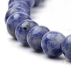 Natural Brazil Blue Spot Jasper Beads Strands G-S259-36-10mm-3