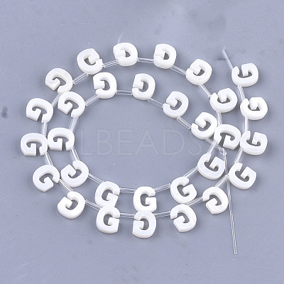 Natural Freshwater Shell Beads SHEL-T012-59G-1