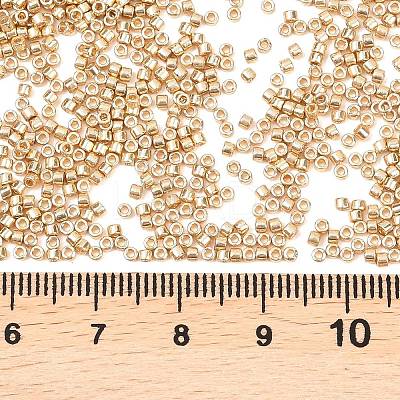 MIYUKI Delica Beads X-SEED-J020-DB2501-1