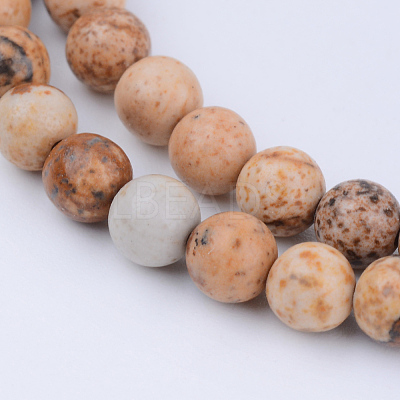 Natural Picture Jasper Beads Strands G-Q462-10mm-35-1