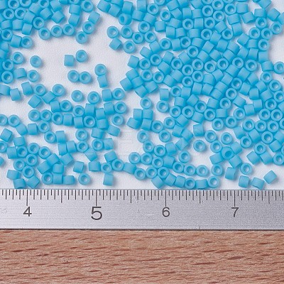 MIYUKI Delica Beads X-SEED-J020-DB0755-1