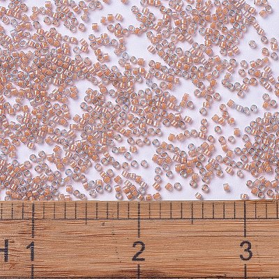 MIYUKI Delica Beads SEED-X0054-DB2042-1