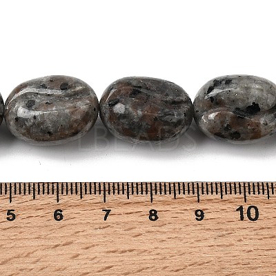 Natural Fluorescent Syenite Rock(Glow under UV Light)  Beads Strands G-K362-D02-03-1