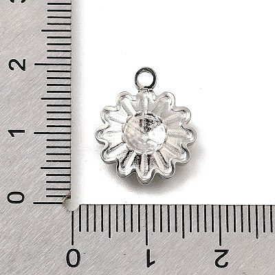 304 Stainless Steel Pendants STAS-C122-04P-1