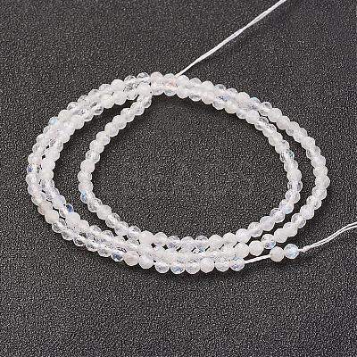 Natural Rainbow Moonstone Bead Strand G-G680-53-1