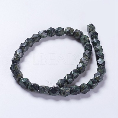 Natural Kambaba Jasper Beads Strands G-K267-08A-1