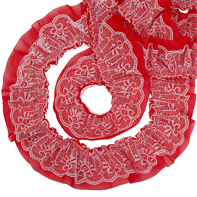 10 Yards Polyester Lace Ribbon OCOR-GF0006-25A-1