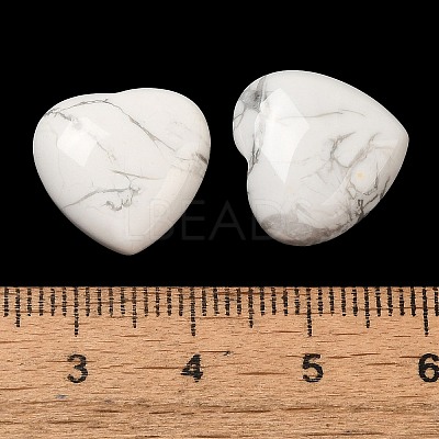 Natural Howlite Cabochons G-F776-02A-24-1